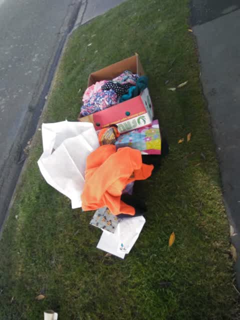 Rubbish/Recycling, a report photo