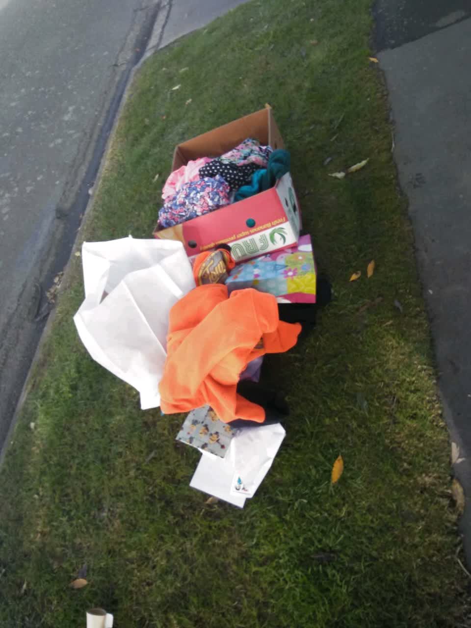 The photograph attached to this rubbish/recycling report