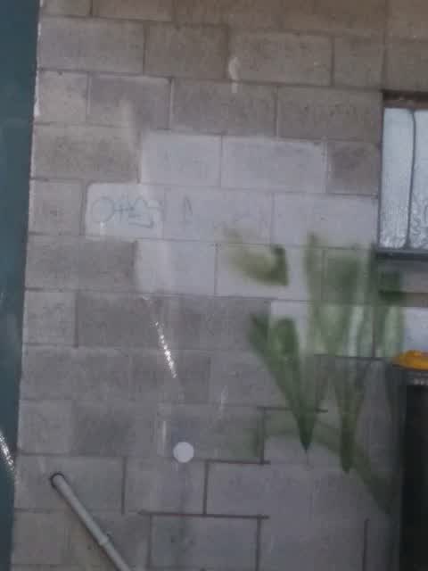 Graffiti, a report photo
