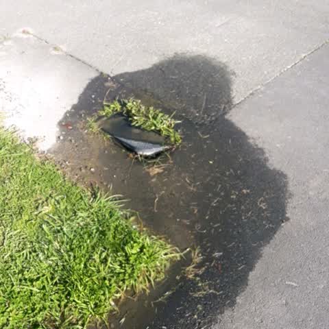 Roading/Streets, a report photo