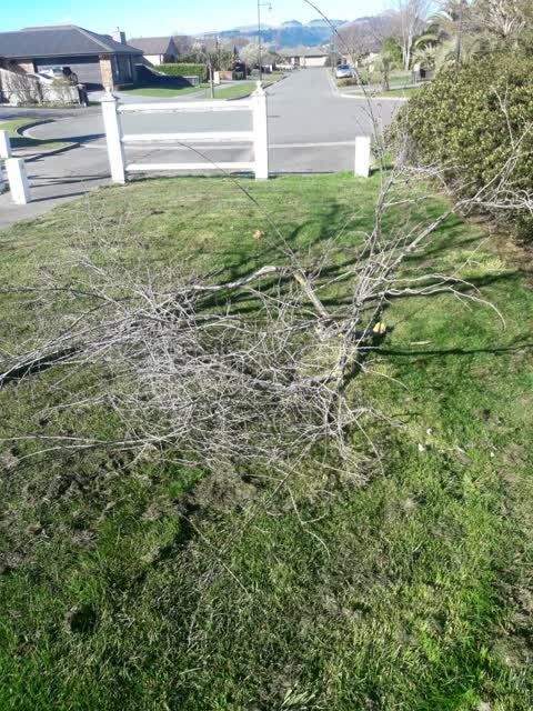 Parks, a report photo