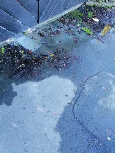 Wastewater/Stormwater, a report photo