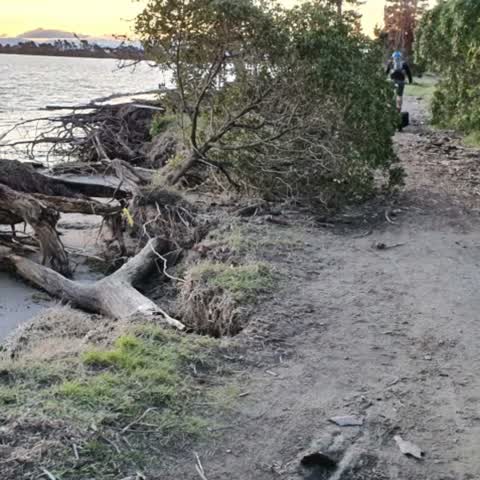 Parks — a report photo