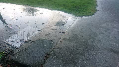 Water Supply, a report photo