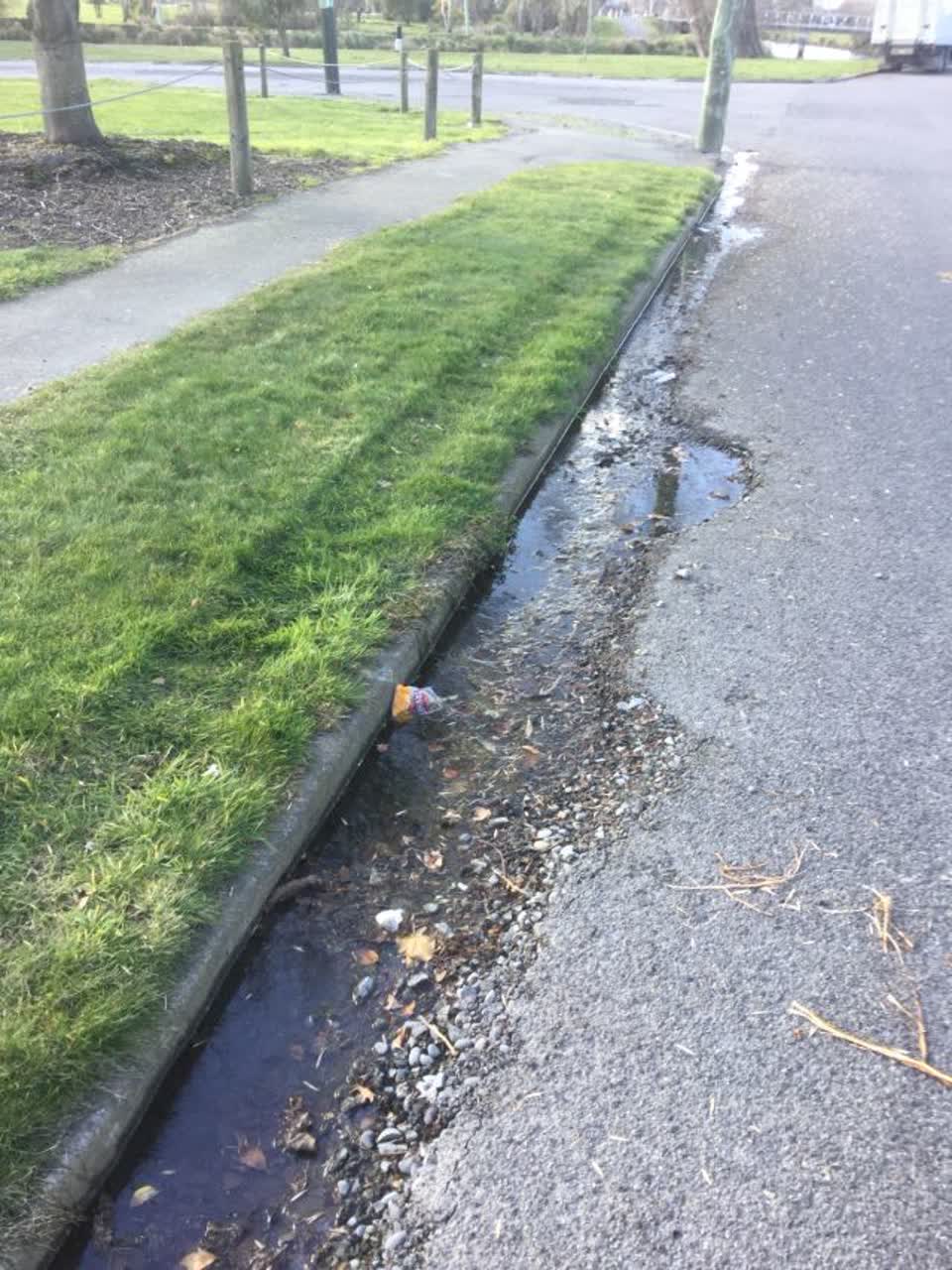 The photograph attached to this water supply report
