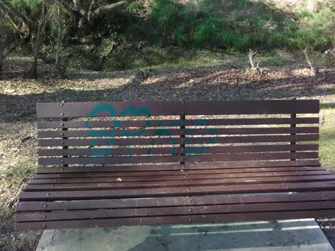 Graffiti — a report photo