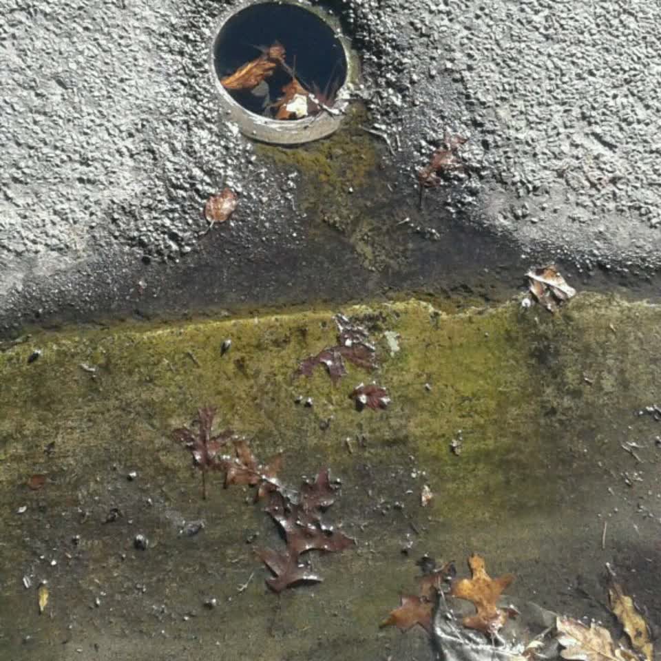 The photograph attached to this water supply report