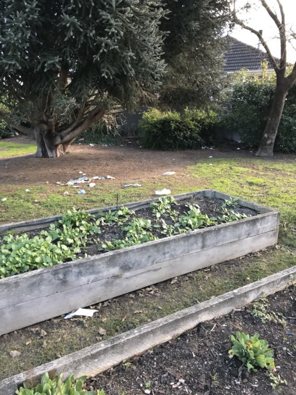 The photograph attached to this parks report