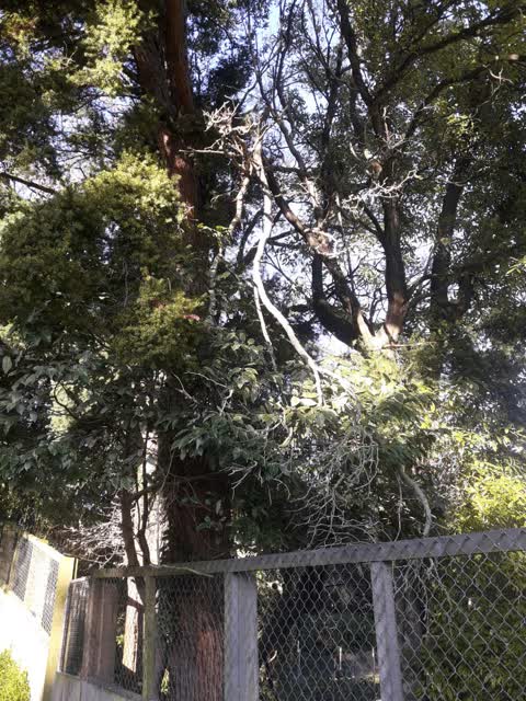 Parks, a report photo