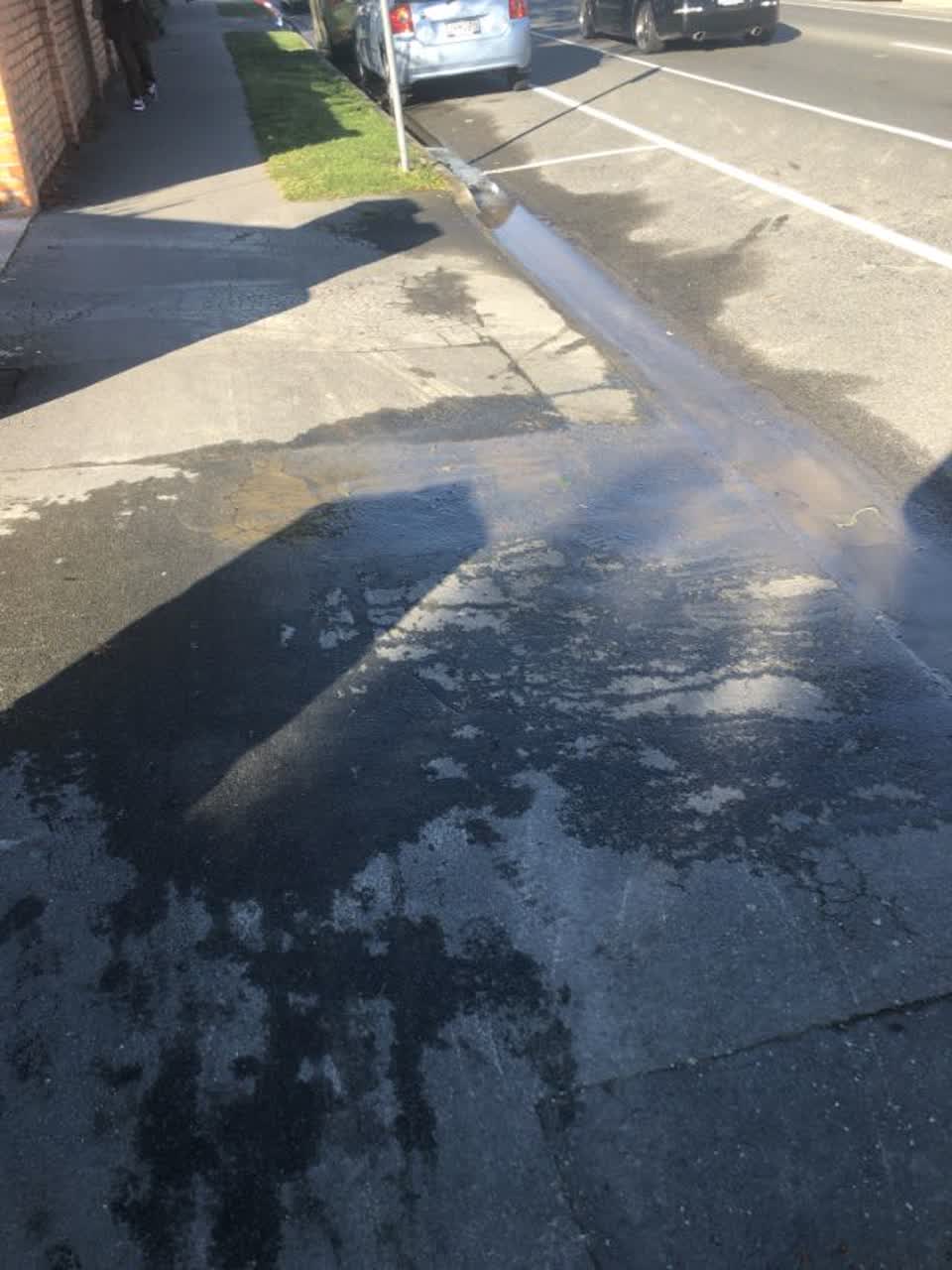 The photograph attached to this water supply report