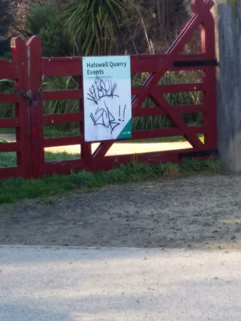 Graffiti, a report photo