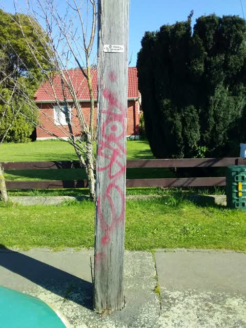 Graffiti, a report photo