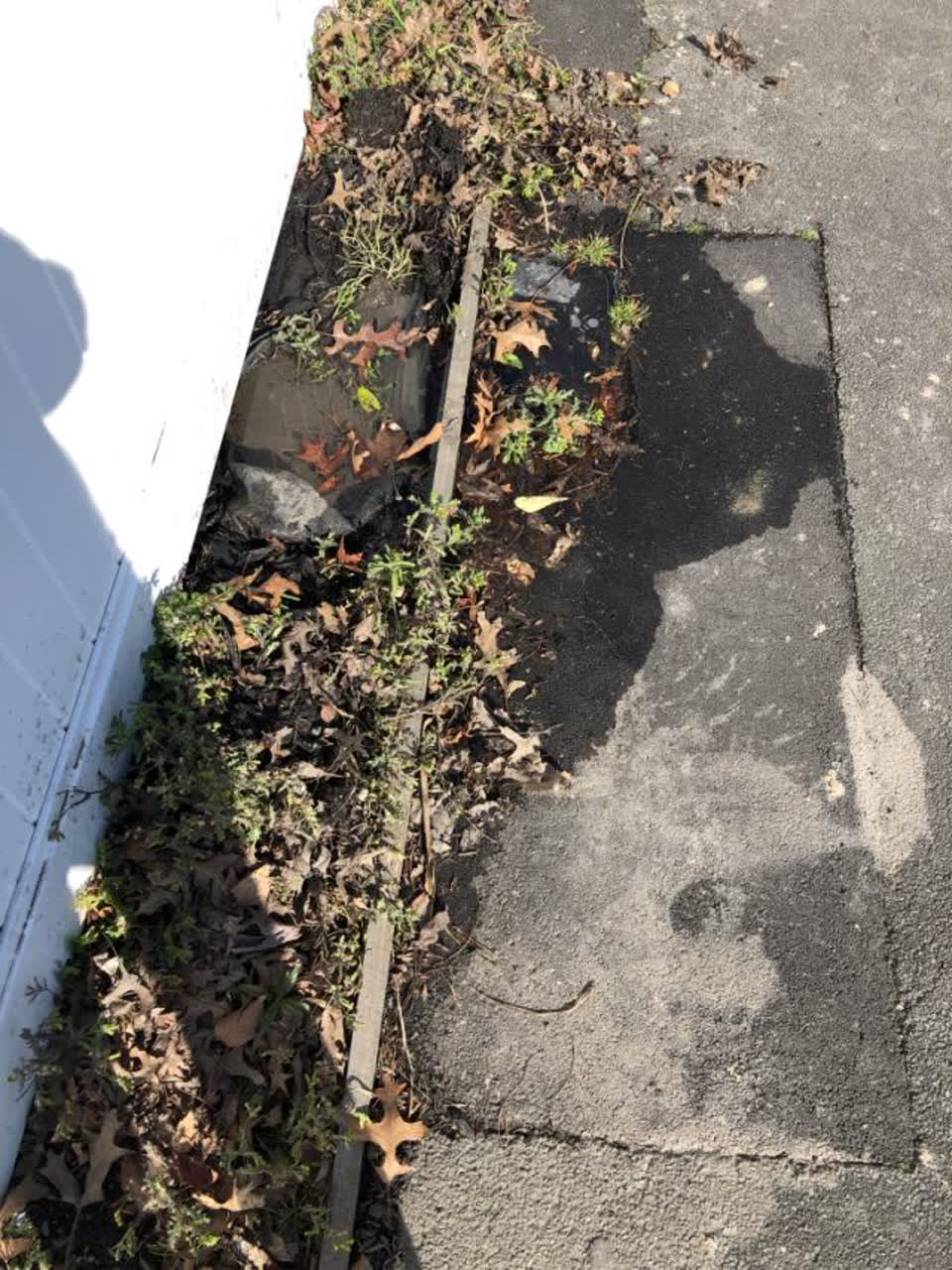 The photograph attached to this water supply report