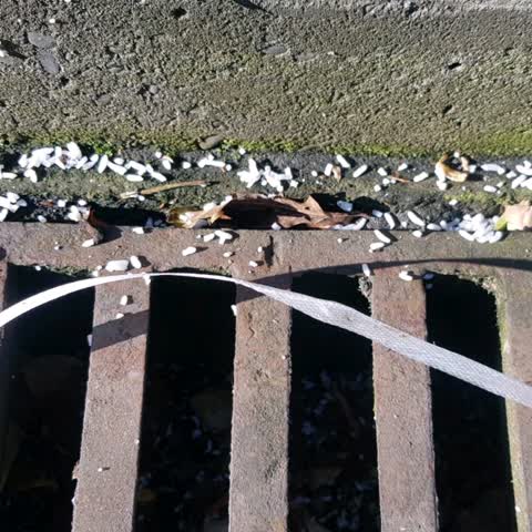 Wastewater/Stormwater, a report photo
