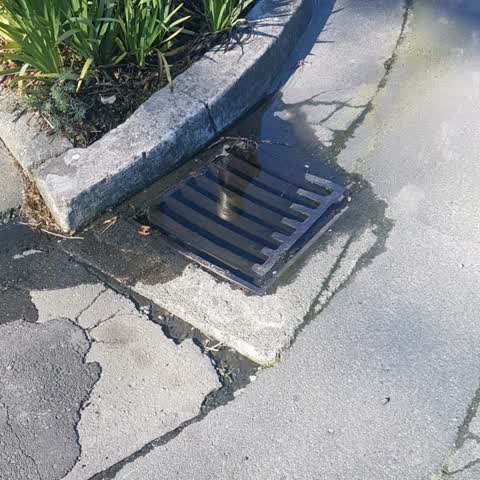 Water Supply — a report photo