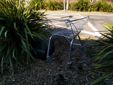 Rubbish/Recycling, a report photo
