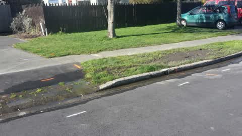 Water Supply, a report photo