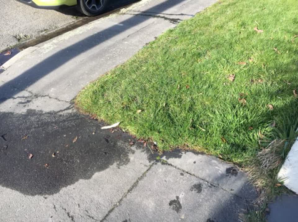 The photograph attached to this water supply report