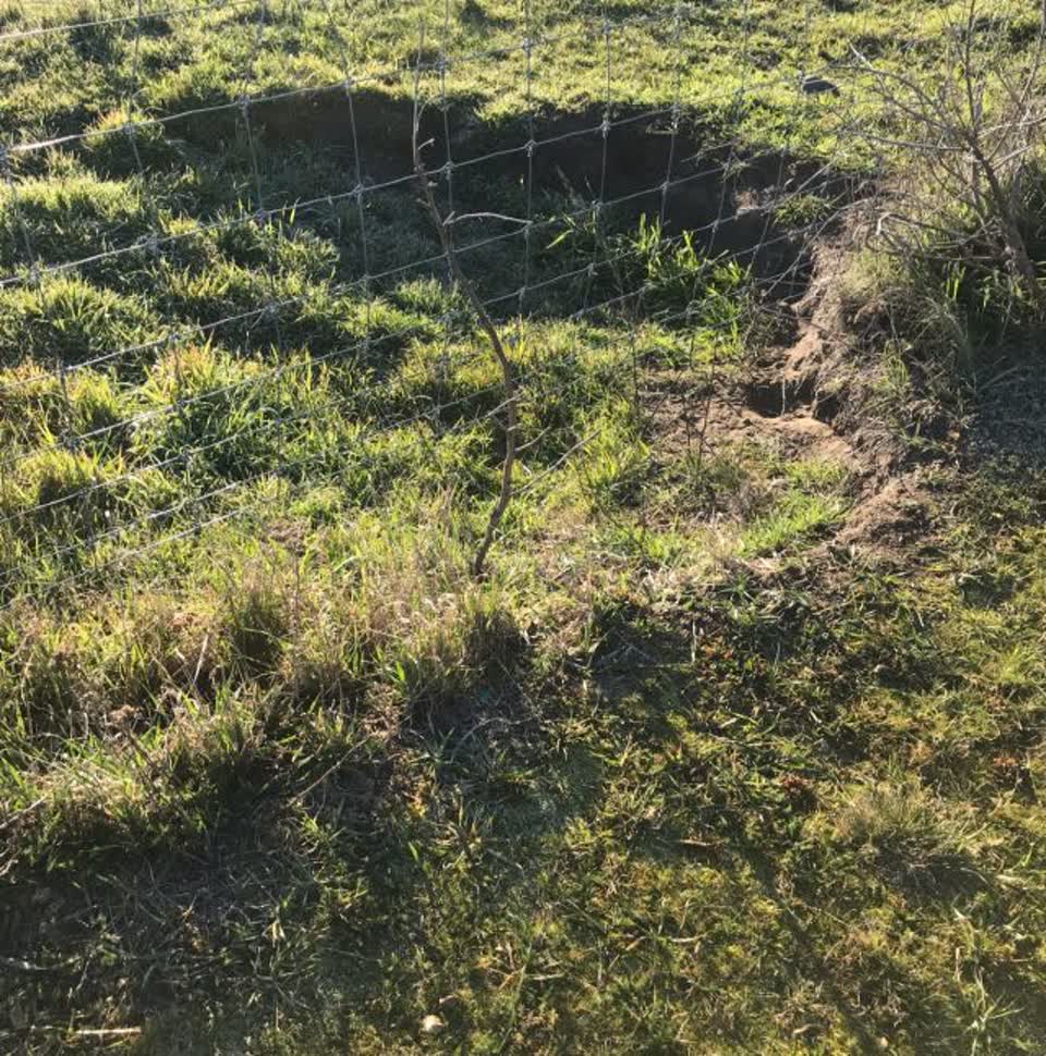 The photograph attached to this parks report