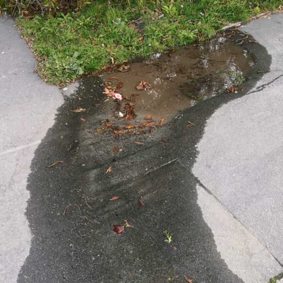 The photograph attached to this water supply report
