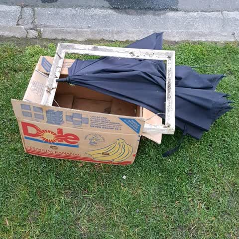 Rubbish/Recycling — a report photo