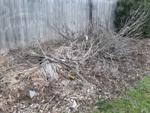 Rubbish/Recycling, a report photo