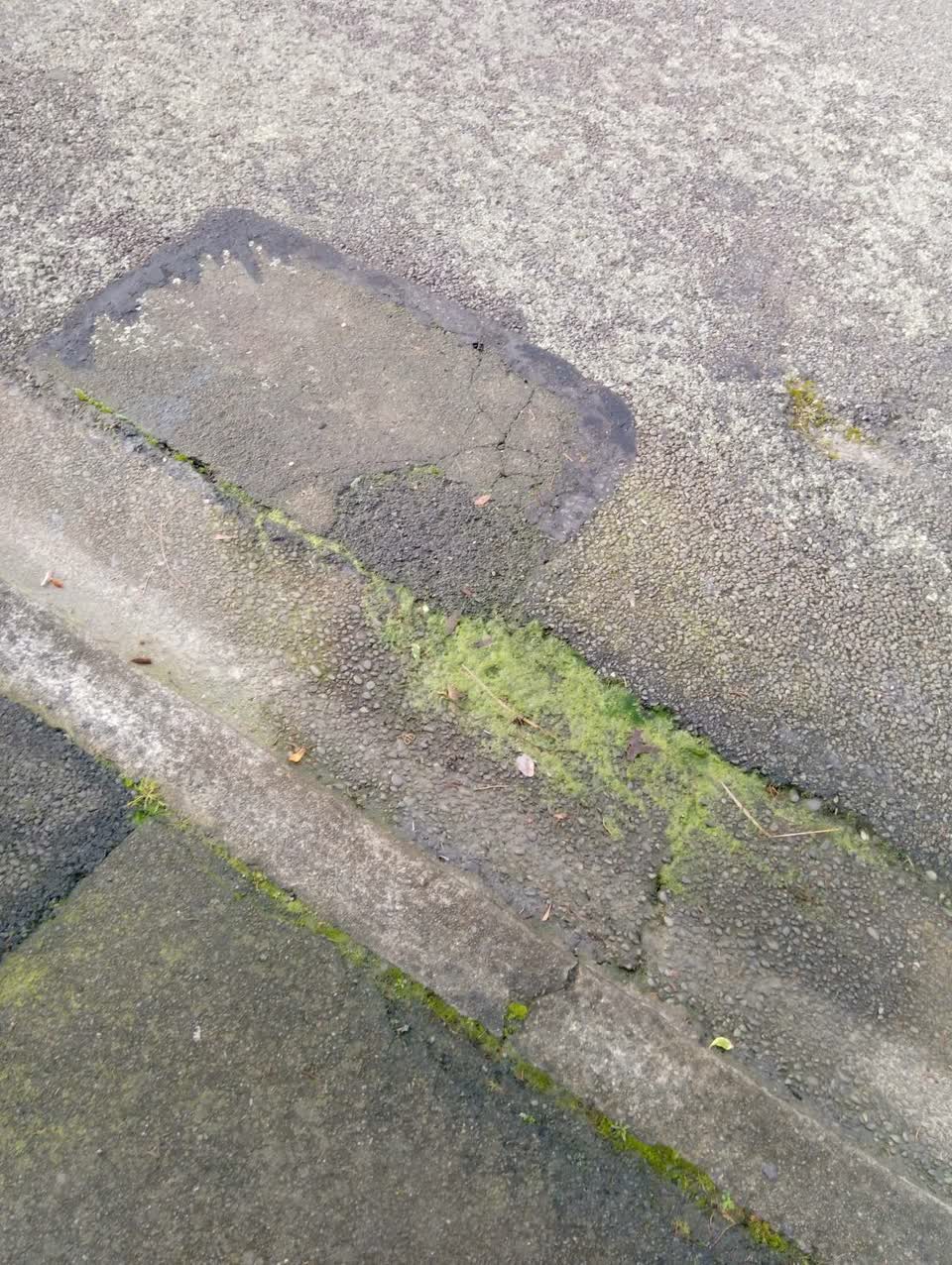 The photograph attached to this water supply report