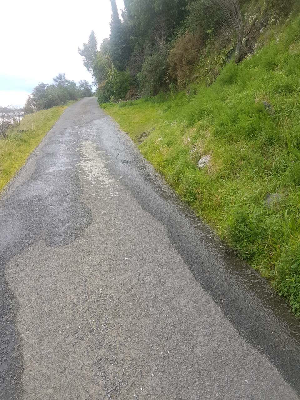 The photograph attached to this water supply report