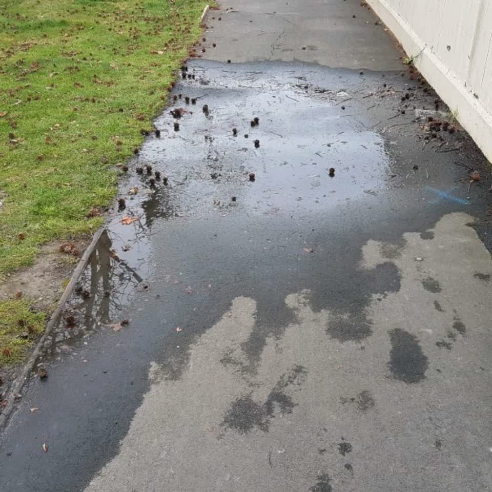 The photograph attached to this water supply report