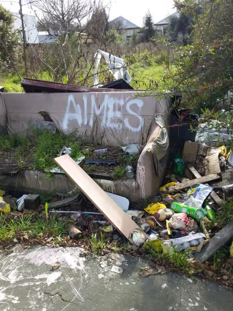 Rubbish/Recycling — a report photo