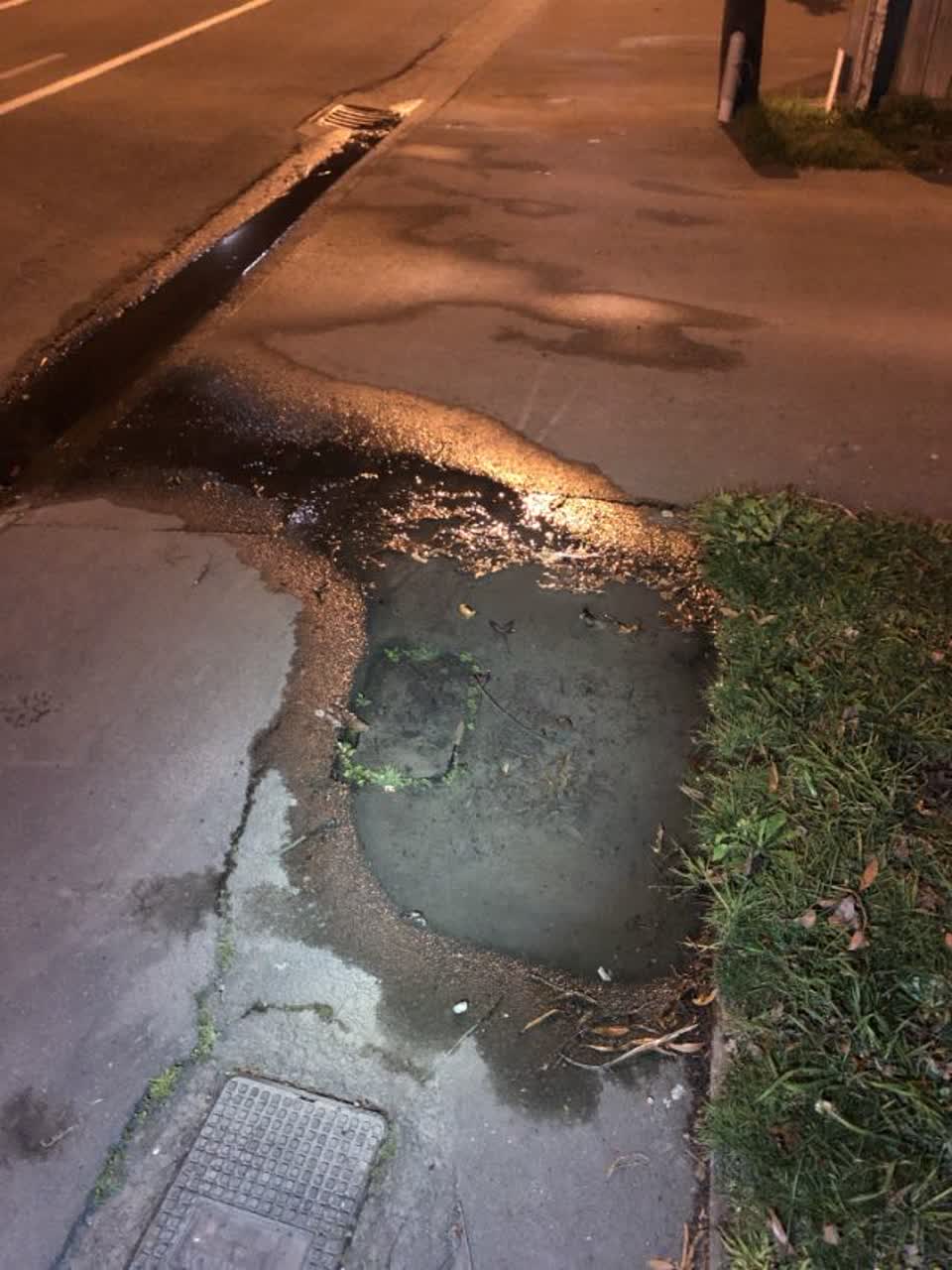 The photograph attached to this water supply report