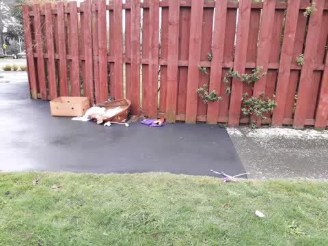 Rubbish/Recycling, a report photo