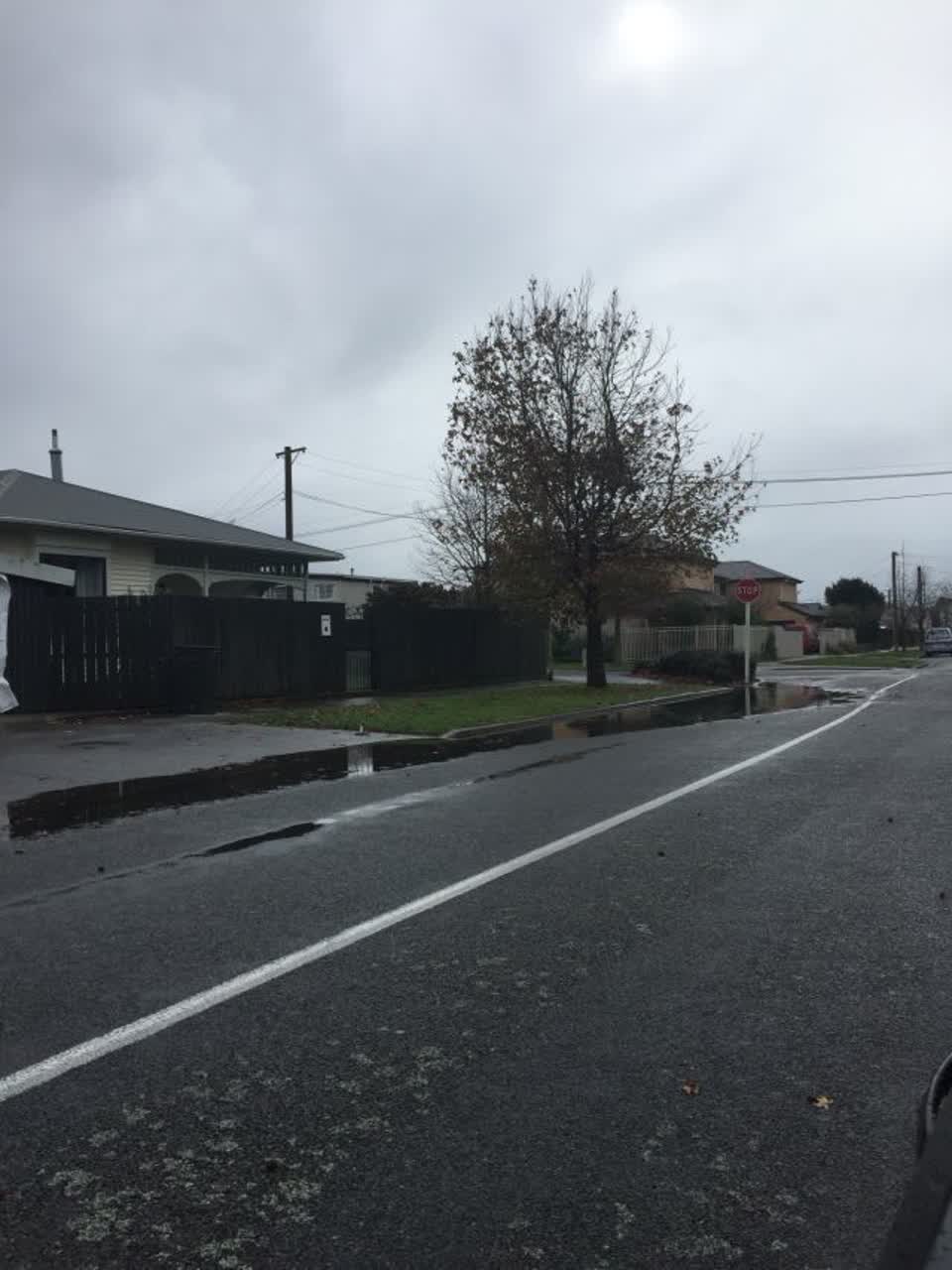 The photograph attached to this roading/streets report