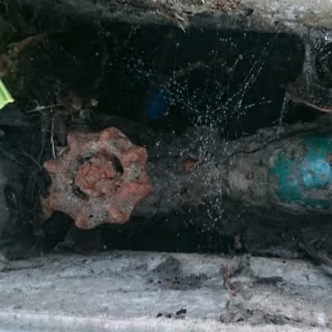 Water Supply, a report photo
