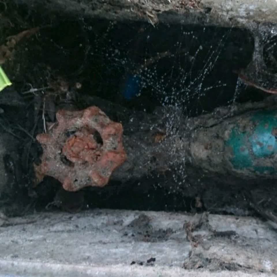 The photograph attached to this water supply report
