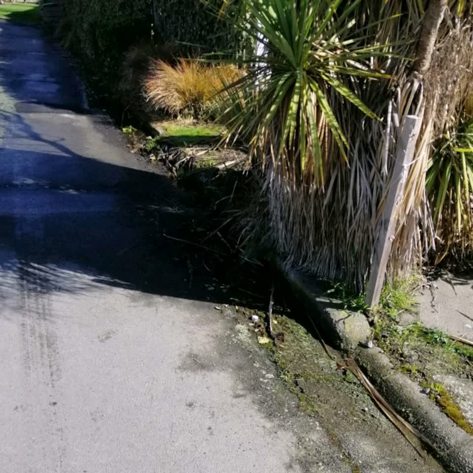 The photograph attached to this water supply report
