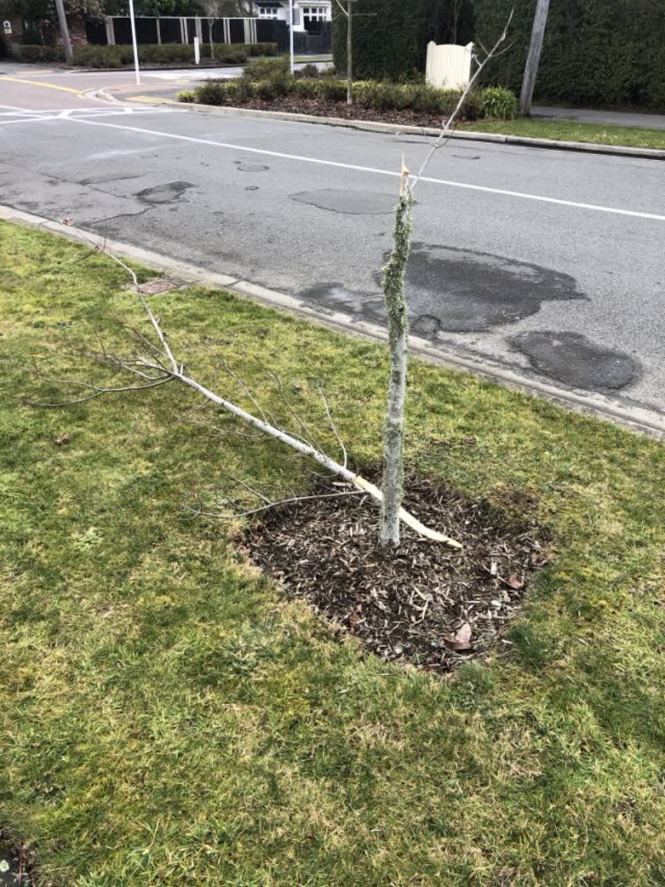 The photograph attached to this roading/streets report