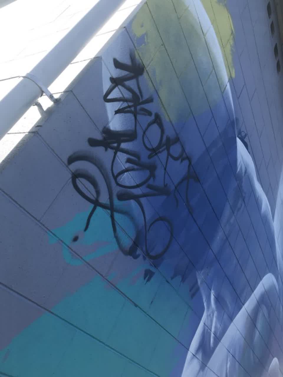The photograph attached to this graffiti report