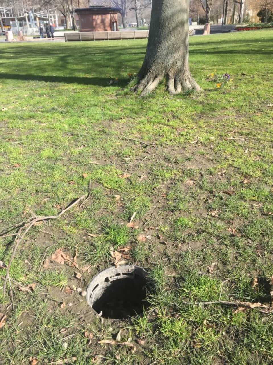 The photograph attached to this parks report