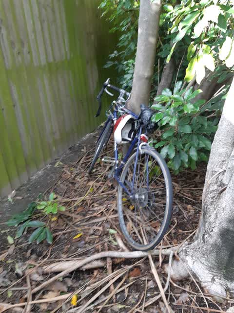 Rubbish/Recycling, a report photo