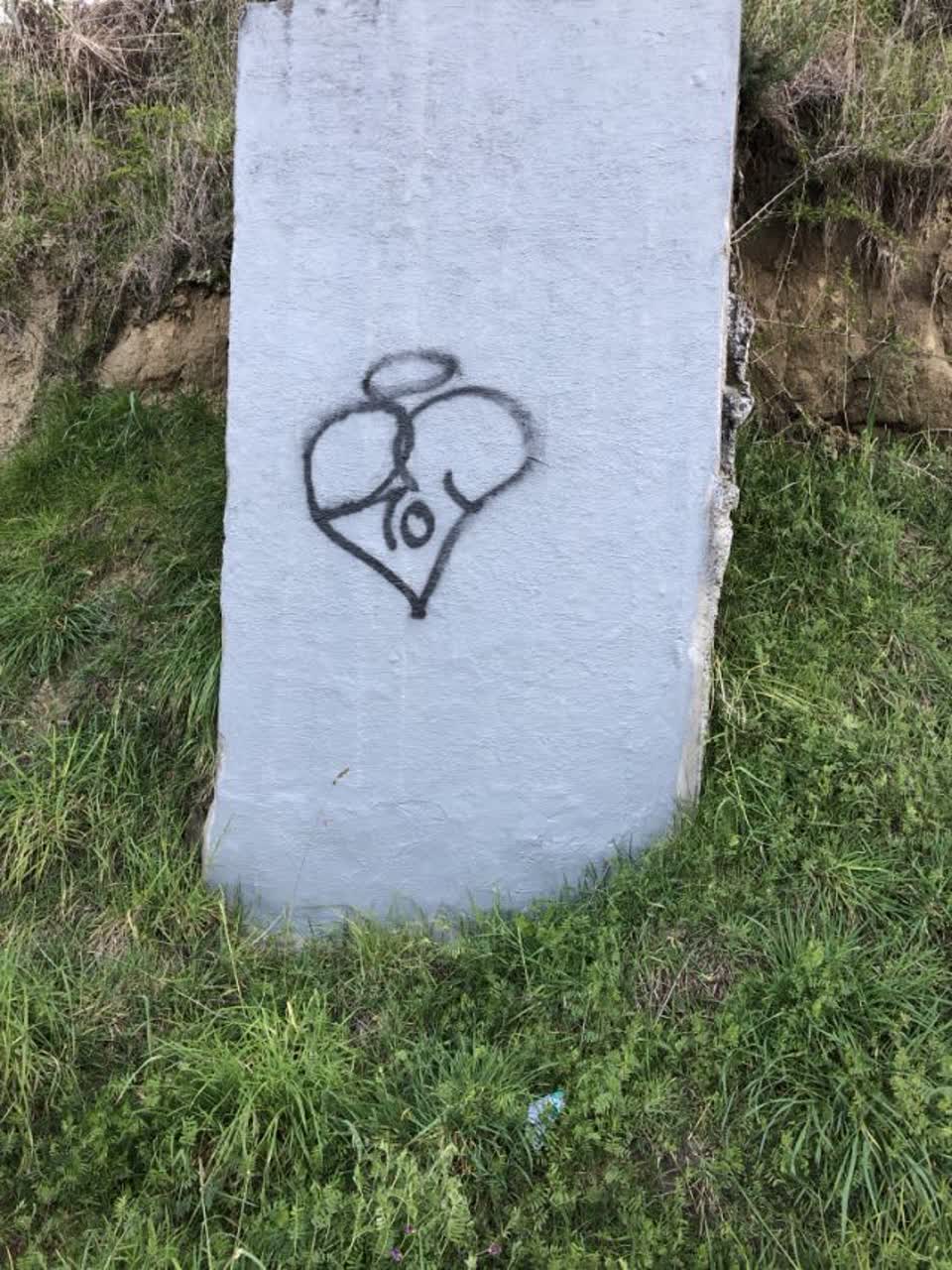 The photograph attached to this graffiti report
