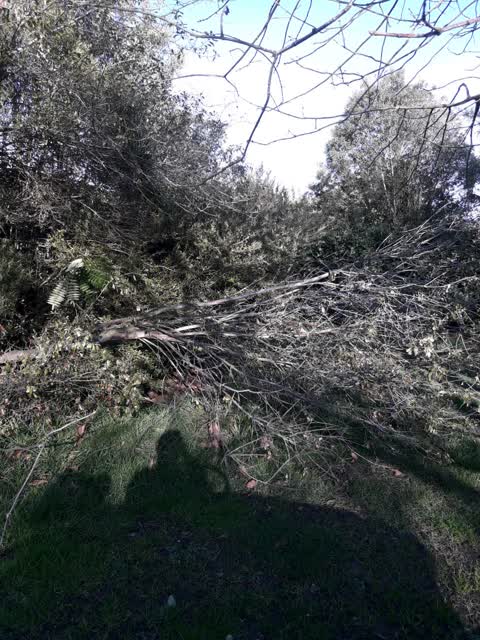 Parks, a report photo