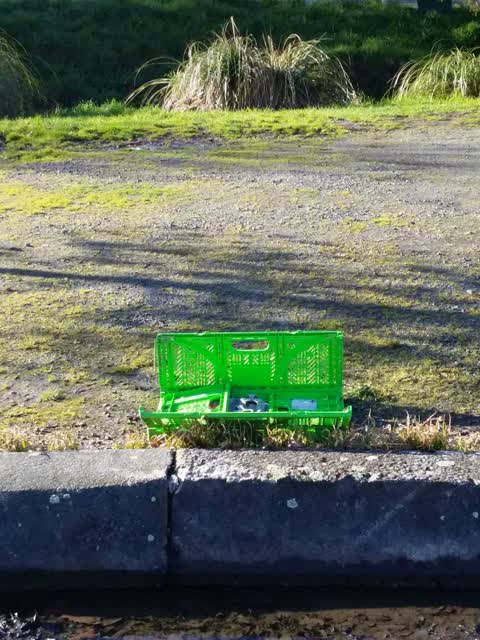 Rubbish/Recycling, a report photo