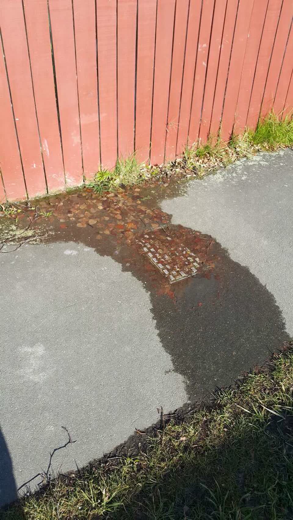 The photograph attached to this water supply report