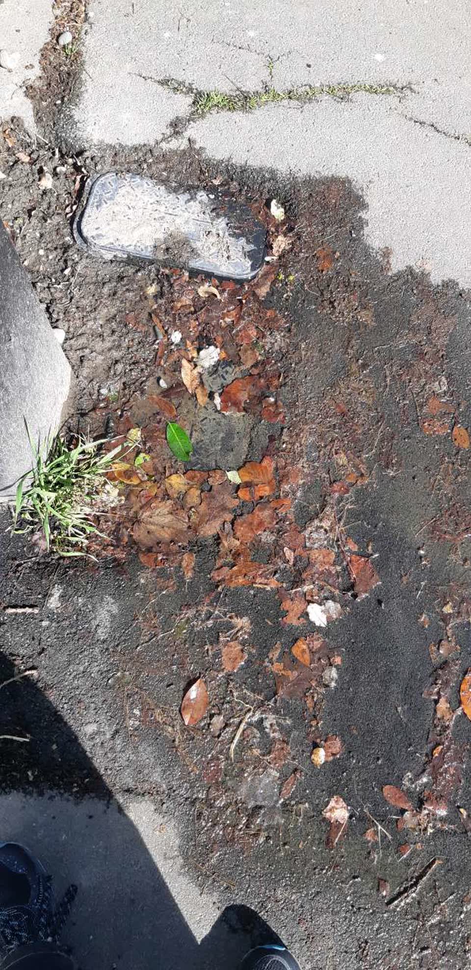 The photograph attached to this water supply report