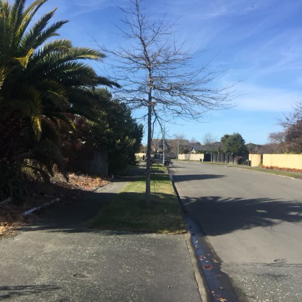 The photograph attached to this roading/streets report