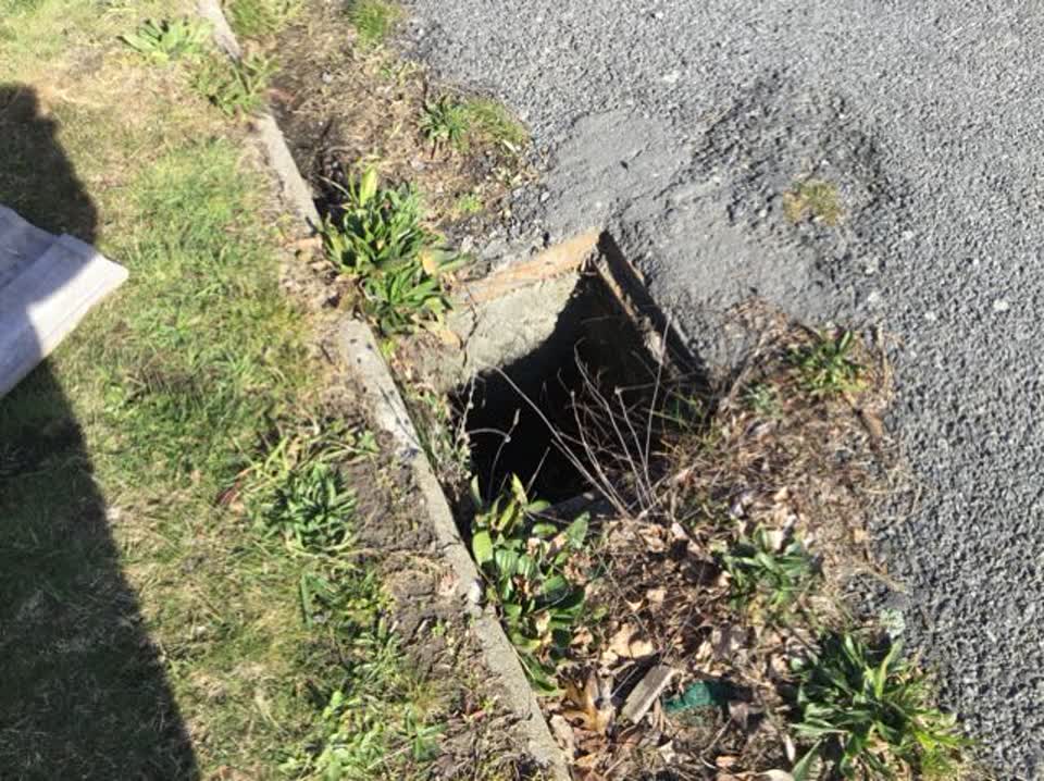 The photograph attached to this roading/streets report
