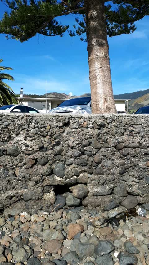 Roading/Streets, a report photo