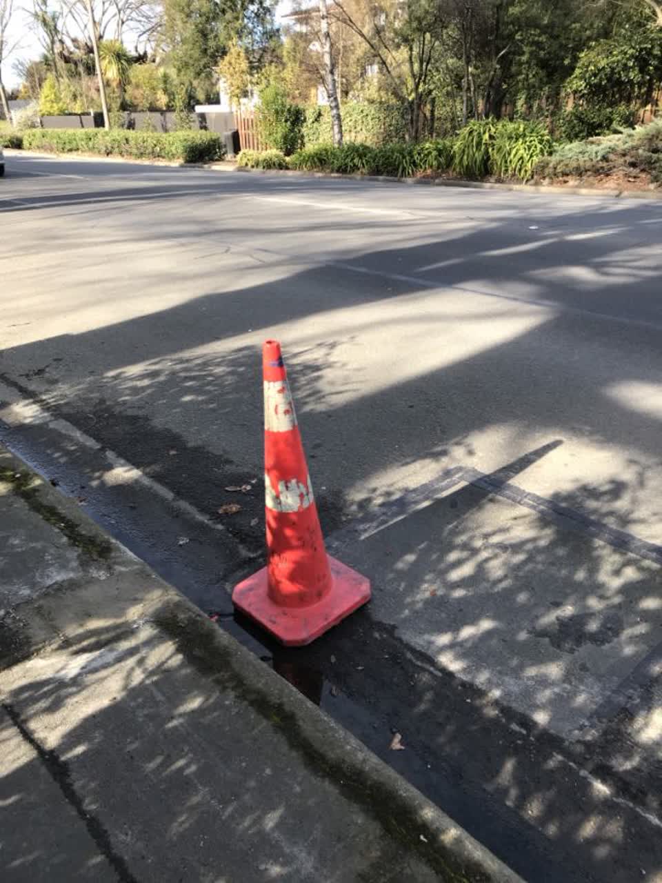 The photograph attached to this roading/streets report