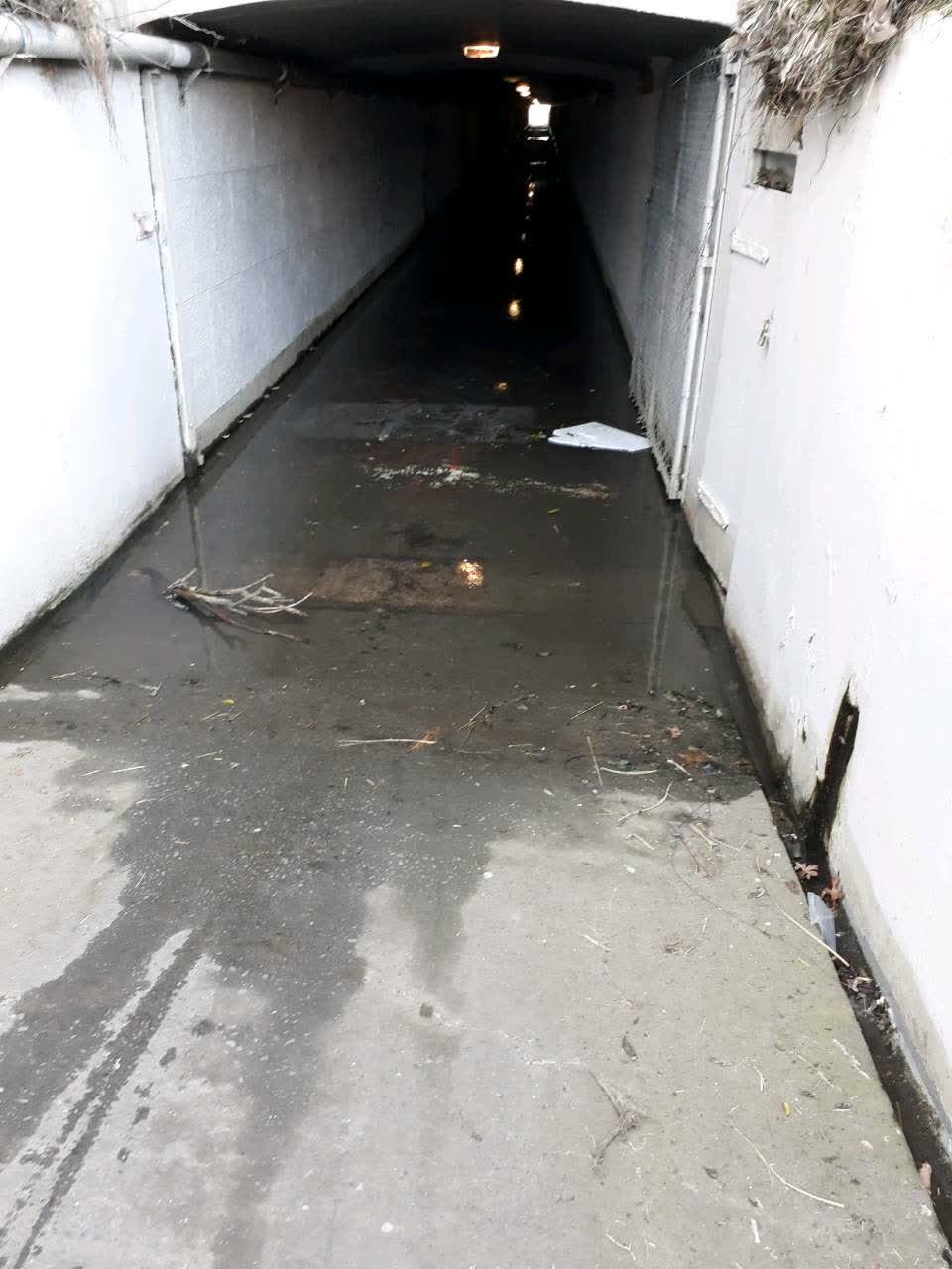 The photograph attached to this flooding report